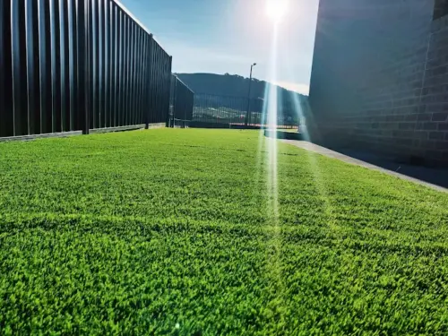 Synthetic lawns Canberra